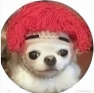 Meet your Posher, Fes